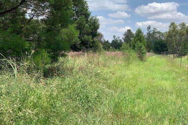 Lovely 14  Ha undeveloped peace of land with good arable soil for the person who have the means to develop this farm to its potential ...