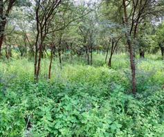 Vacant Land / Plot for sale in Estate D' Afrique