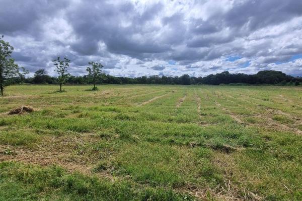 This exceptional 6-hectare irrigation farm offers a unique blend of comfortable living, productive land, and self-sufficient potential. ...