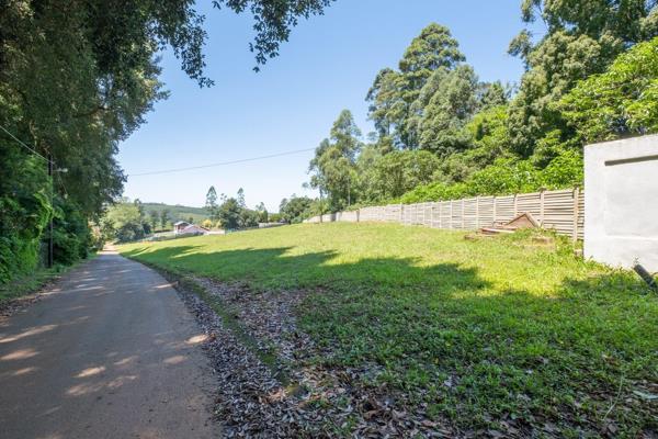 Nestled in the serene Worlds View neighbourhood, this exceptional 1,500m&#178; plot ...