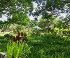 Farm for sale in Miravaal