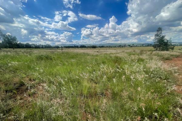 Prime Agricultural &amp; Development Land Near Eye of Africa – A Rare Investment Opportunity!
?? Location, Potential, and Growth – All ...