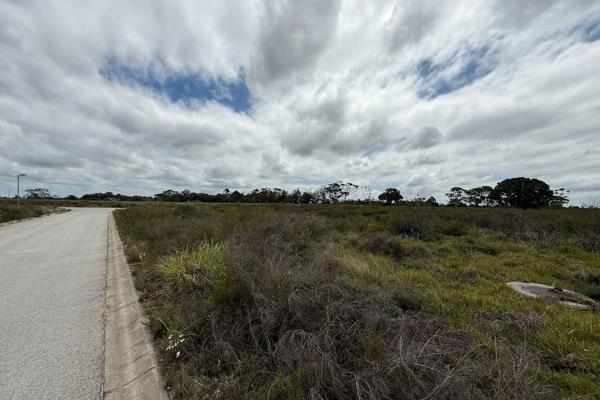 ERF 167/8 GREENBUSHES | INDUSTRIAL LAND ON CAPE ROAD

Seize the opportunity to acquire a ...