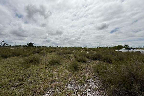 ERF 160/8 GREENBUSHES | VACANT INDUSTRAIL LAND ON CAPE ROAD

Unlock the potential of ...