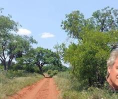 Farm for sale in Swartwater