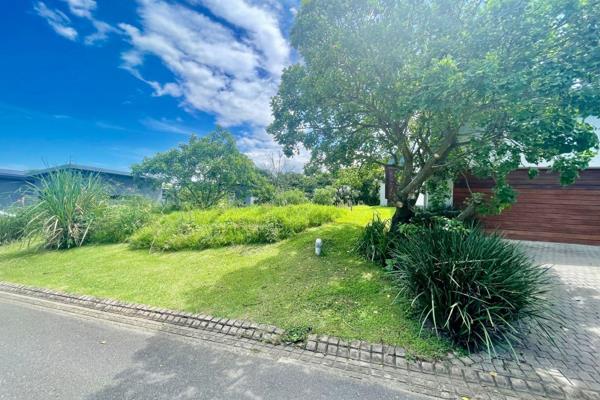 One of the last remaining vacant stands in Lake Malawi, Palm Lakes, this prime site offers a one meter elevation from the road ...