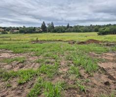 Vacant Land / Plot for sale in Pioneer Park