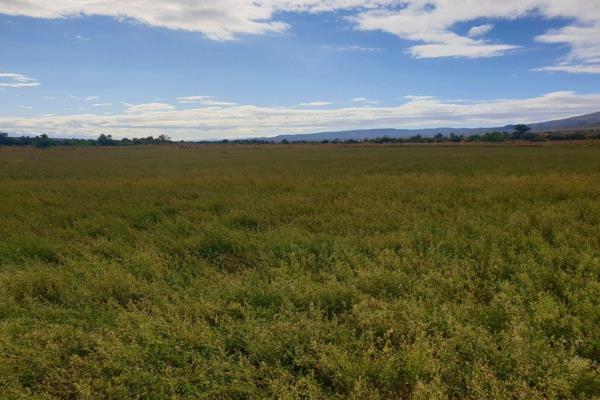 This beautiful farm is located approximately 33km from Oudtshoorn and 28km from Calitzdorp. Top quality lucerne soil that receives ...