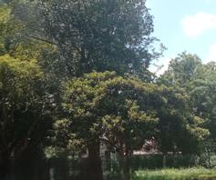 Vacant Land / Plot for sale in Rosebank