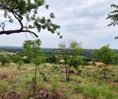 Vacant Land / Plot for sale in Irene Glen Estate