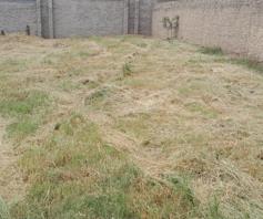 Vacant Land / Plot for sale in Woodhill Estate