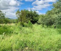 Vacant Land / Plot for sale in Estate D' Afrique