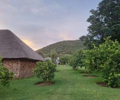 Farm for sale in Mokopane Rural