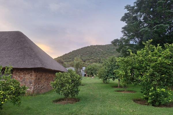 This smallholding with 2 houses and 2 flats is for sale in Mokopane. It is located just a few kilometers from Mokopane.
This ...