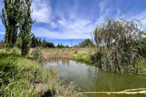 Scenic, Large, A Brooke Running Through It... What Else Could You Need??
This stunning plot located in the tucked away area of Mnandi ...