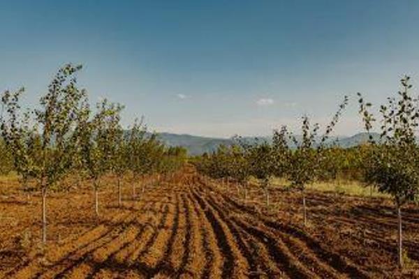 Discover the serene beauty and agricultural potential of this stunning farm, nestled in the heart of Wellington&#39;s picturesque ...