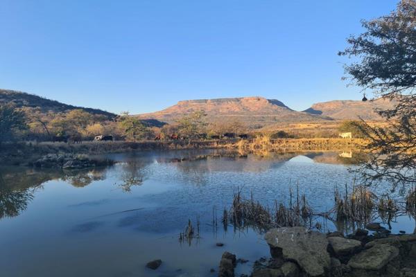 a water rich Wild – cattle – goat and chicken farm in the Dundee district. 
The farm consists of a 4 bedroom, 1 bathroom dwelling ...