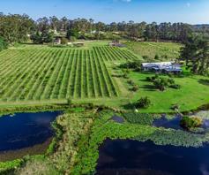 Farm for sale in Harkerville AH