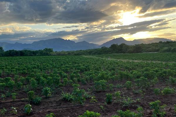 Discover the unparalleled potential of this remarkable farm property, offering a unique blend of residential, agricultural, and ...