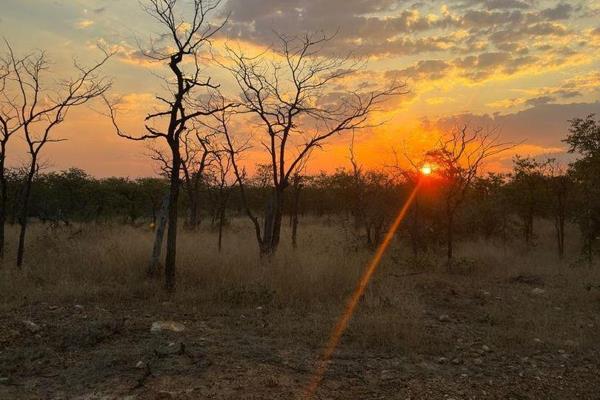 Build your dream home in a private game reserve on a 21ha stand. 
This game reserve is located near the Kruger Park and Letaba ...