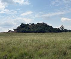 Farm for sale in Zusterstroom AH