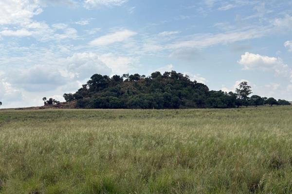 Discover this expansive 150-hectare farm in the picturesque Zusterstroom, perfectly designed for sustainable cattle and goat farming. ...