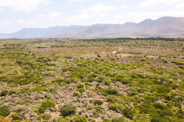 STANFORD

R3,750,000 - 5 Hectares

INVEST in a 10% or 20% share of this exclusive 100-Hectare Fynbos Farm and Exclusive Estate in ...