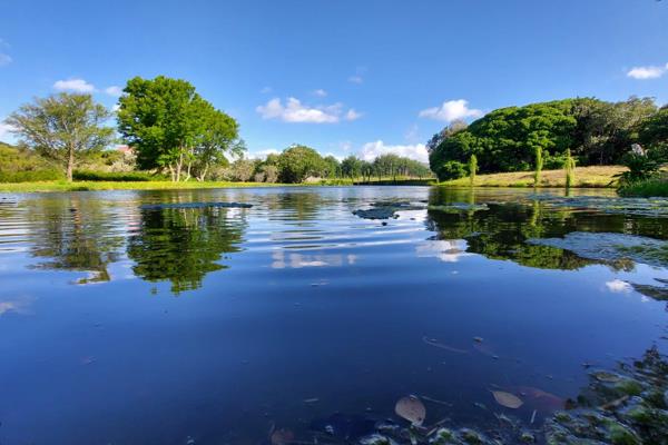 STANFORD

R3,750,000 - 5 Hectares

INVEST in a 10% or 20% share of this exclusive 100-Hectare Fynbos Farm and Exclusive Estate in ...