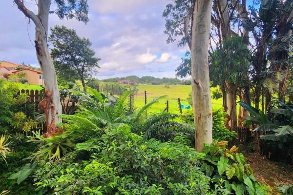 Situated in the log home estate in Hibberdene, a brisk walk to the fabulous blue flag main beach with lifeguards, restaurant, fun park ...