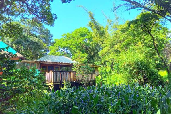 Rustic cottage to rent in coffee bay with rustic coffee shop. 

Option to rent cottage ...