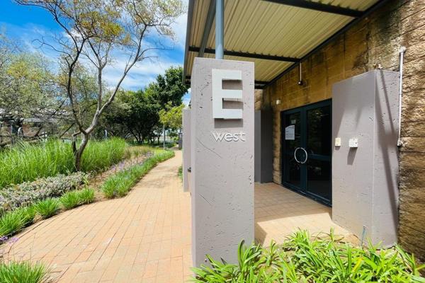 This office takes up the entire first floor of this building and measures just over ...