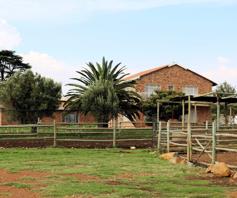 Farm for sale in Schoongezicht