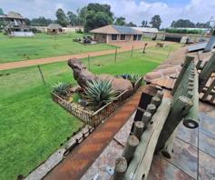 Farm for sale in Eloff AH