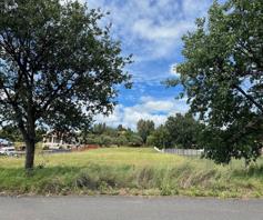 Vacant Land / Plot for sale in Reitz