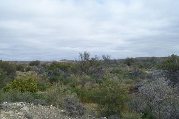 Extensive Karoo farm of 2940 hectares located approximately 4 hours from Cape Town.

No buildings.

Farm divided into 11 camps, each ...