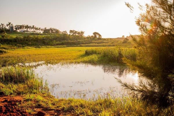 Lalela  estate is enveloped by lush greenery, walking trails, and open spaces, making it a serene retreat from the fast pace of ...