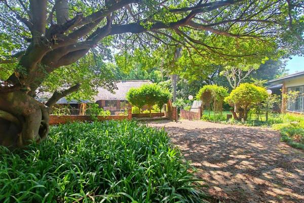 Unique opportunity to purchase a 2Ha Smallholding 5km from Tzaneen.
The property includes a Large 4 Bedroom, 2 Bathroom Home with a big ...