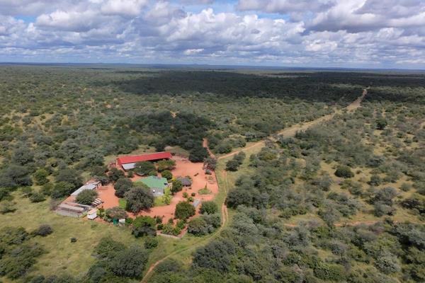 1115 ha Cattle Farm with Exceptional Infrastructure &amp; Prime Bonsmara Stock (Optional Extra at additional price)– Investment ...