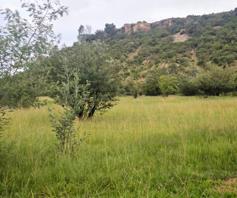 Vacant Land / Plot for sale in Ladybrand