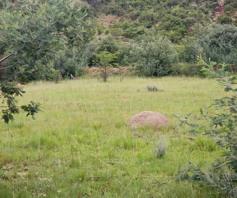 Vacant Land / Plot for sale in Ladybrand