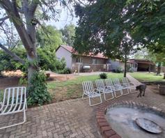 Farm for sale in Tzaneen Rural