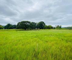 Farm for sale in Sabie