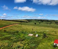 Farm for sale in Belfast Rural