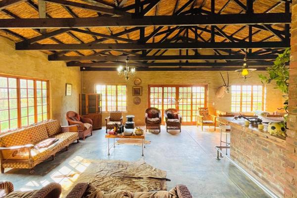 Located in the heart of Limpopo, this stunning 170-hectare farm in the Dendron area offers the perfect blend of natural beauty ...