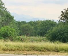 Vacant Land / Plot for sale in Zandspruit Bush & Aero Estate