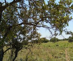 Farm for sale in Dinokeng Game Reserve