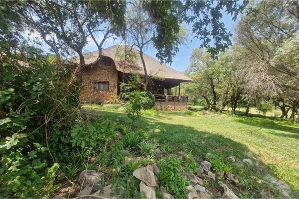 Nestled amidst unspoiled natural beauty along the Crocodile River, this exceptional 80-hectare game lodge presents a turnkey investment ...