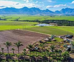 Farm for sale in George Rural