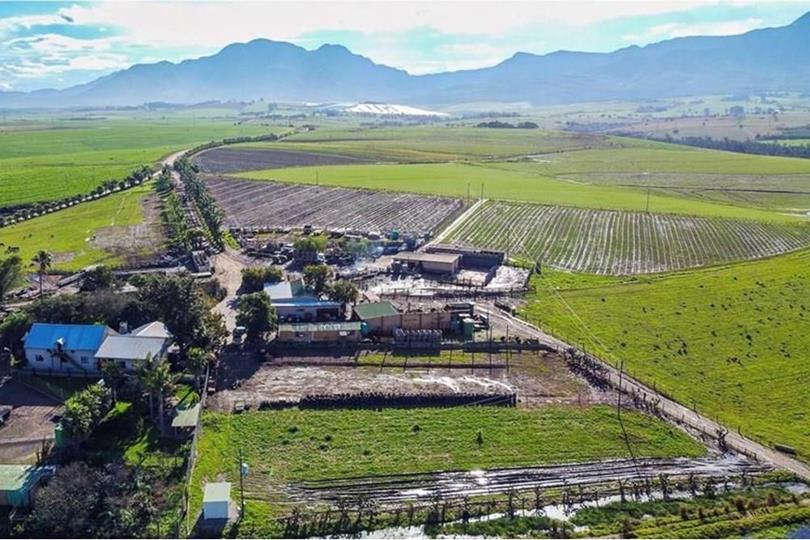 Farm for sale in George Rural - P24-115693072