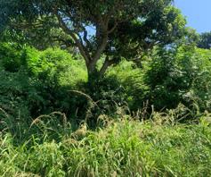 Vacant Land / Plot for sale in Yellowwood Park